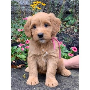 LauraBentley's avatar